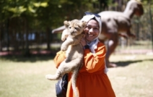 Antalya'daki yaşam parkında altız aslan yavrusu da var ikiz ayı yavrusu da