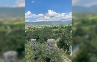 Beyşehir'de yumurtadan çıkan yavru leylekler büyümeye başladı