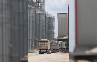 Çukurova'da çiftçiler, TMO'nun alım merkezi olan lisanslı depolara yöneldi