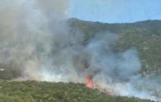 Kaş'ta çıkan orman yangını kontrol altına alındı