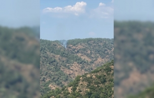 Marmaris'te orman yangını başladı