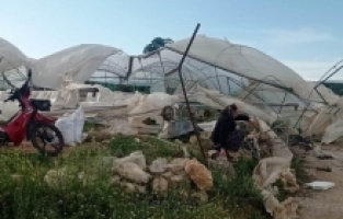 Mersin'de hortum, seralarda hasara neden oldu