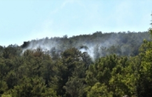 Mersin'de çıkan orman yangını kontrol altına alındı