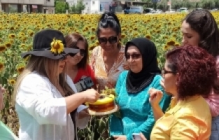 Ayçiçeği tarlasında doğum günü kutlaması