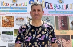 Zararlılarla mücadelede zirai ilaç yerine faydalı böcek uygulaması yaygınlaşıyor