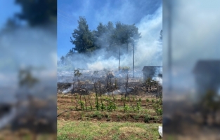 Adana Aladağ'da çıkan orman yangını söndürüldü