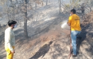 Adana Aladağ'da çıkan orman yangını kontrol altına alındı
