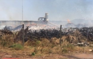 Adana'da orman ürünleri satılan iş yerinde yangın çıktı