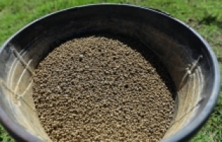 Aksu'daki mera arazilerinde iyileştirme çalışması yürütülüyor