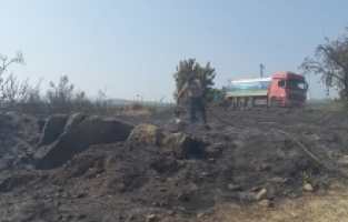 Alanya'da çalılık ile tarım arazisinde çıkan yangın kontrol altına alındı