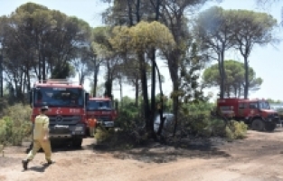 Antalya'da ormanlık alanda çıkan yangın kontrol altına alındı