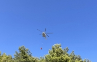 Alanya'da seralık alanda çıkan yangın kontrol altına alındı