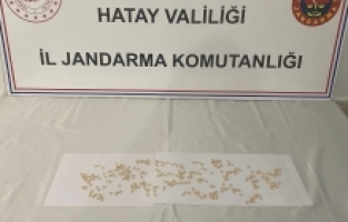Hatay'da uyuşturucu operasyonunda 2 şüpheli tutuklandı