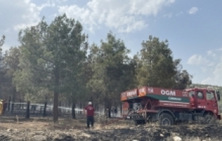 Isparta'da anız yangını ormanlık alana sıçradı