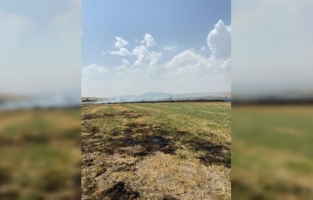 Isparta'da çıkan yangında 120 dekarlık arpa tarlası zarar gördü