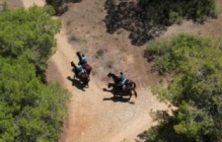 Jandarma ekipleri, yangınları önlemek için arazi araçları ve atlarla ormanlarda devriye atıyor