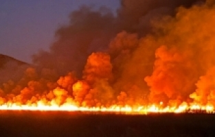 Kaş'ta sazlık alanda çıkan yangına müdahale ediliyor
