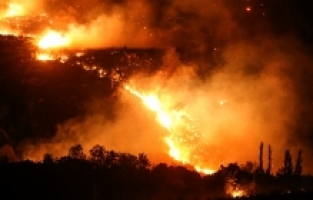 Mersin Gülnar'da orman yangını