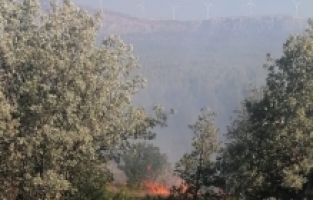 Mersin'de bahçede çıkan yangın ormana sıçramadan söndürüldü