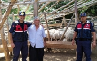 Mersin'de küçükbaş hayvan çalan 2 kişi tutuklandı