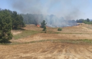 Mersin'de tarlada çıkan yangın ormana sıçramadan söndürüldü