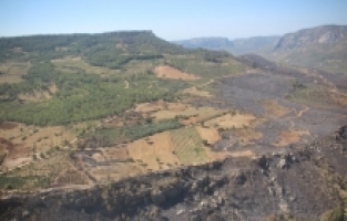Mersin'deki orman yangınından etkilenen alanlar havadan görüntülendi