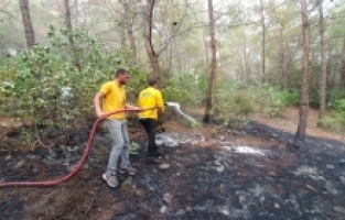 Osmaniye'de çıkan yangında 15 dekarlık ormanlık alan zarar gördü