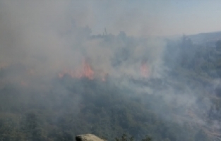 Osmaniye Düziçi'nde orman yangını