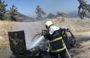 Adana'da otomobilde çıkan yangın söndürüldü