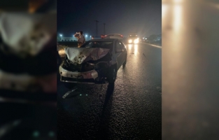 Adana'da otomobilin çarptığı çok sayıda koyun telef oldu