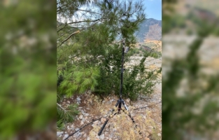 Antalya'da “can suyu havuzları“ndan su içen yaban hayvanları fotokapanla görüntülendi
