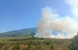 Burdur'da orman yangını çıktı