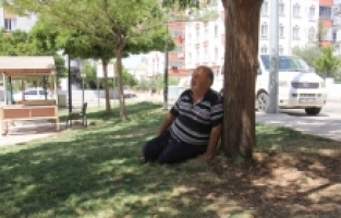 Gaziantep, Şanlıurfa, Malatya, Kahramanmaraş ve Kilis'te sıcak hava bunaltıyor