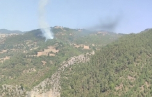 Adana Feke'de çıkan orman yangını kontrol altına alındı