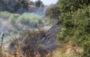 Hatay'da çıkan orman yangını kontrol altına alındı