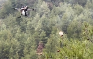 Isparta'da çam kese böcekleriyle mücadele için dron geliştirildi