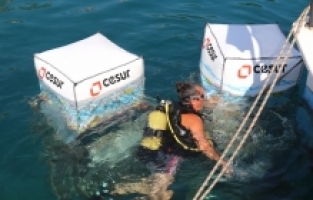 Kaş'ta deniz dibindeki atık istasyonları temizlendi