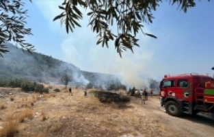 Kaş'ta zeytinlik alanda çıkan yangın söndürüldü