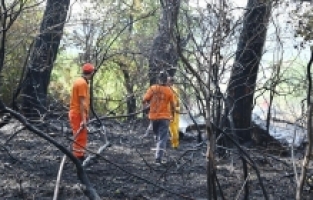 Kemer'de çıkan orman yangını kontrol altına alındı