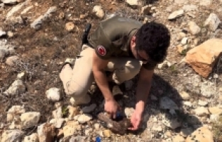 Mersin'de polis, bitkin haldeki kerkenezin yaşama tutunmasını sağladı