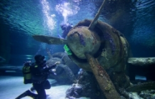 Antalya Akvaryum'da köpek balıkları arasında sonbahar temizliği
