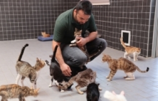 Antalya'da 6 ayda 196 kedi ve köpek sahiplendirildi