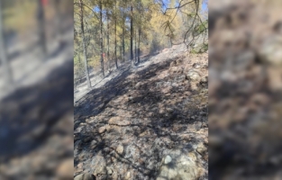 Antalya'da çıkan orman yangını kontrol altına alındı