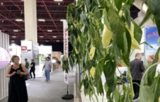 Antalya'da “Interfresh Eurasia Yaş Meyve Sebze Fuarı“ başladı