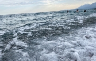 Deniz suyu sıcaklıklarındaki artış zararlı bakterilerin oluşumunu tetikliyor