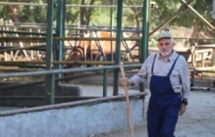 Devlet desteğiyle önce süt üretim çiftliğine, sonra düve merkezine sahip oldu