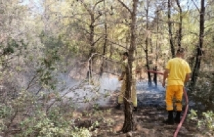 Gülnar'da çıkan orman yangını söndürüldü