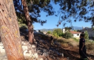 Hatay'da ağaçlık alanda çıkan yangın söndürüldü