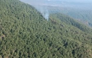 Hatay'da çıkan orman yangınına müdahale ediliyor