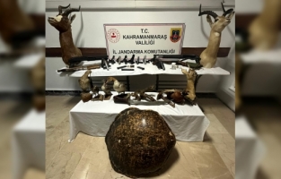Kahramanmaraş'ta kaçakçılık operasyonunda silah ve hayvan tahnitleri ele geçirildi